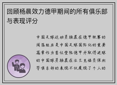 回顾杨晨效力德甲期间的所有俱乐部与表现评分